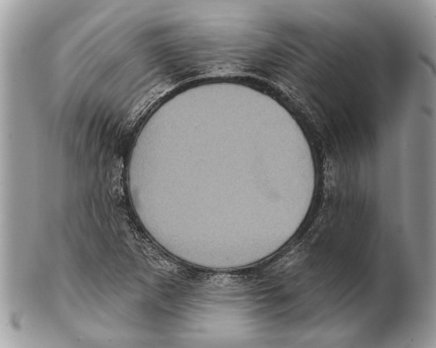 X0000101161265200807251102