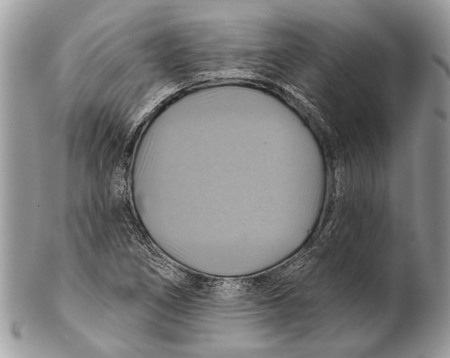 X0000101161266200807251102