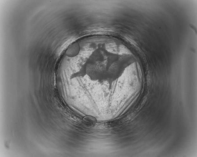 X0000101161267200807251102