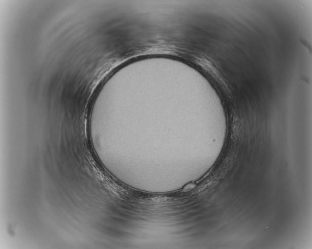 X0000101161268200807251102
