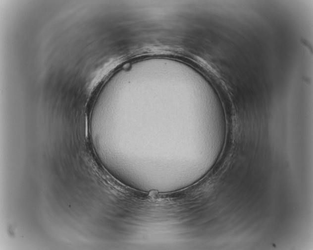 X0000101161269200807251102