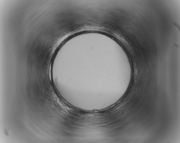 X0000101161272200807251102