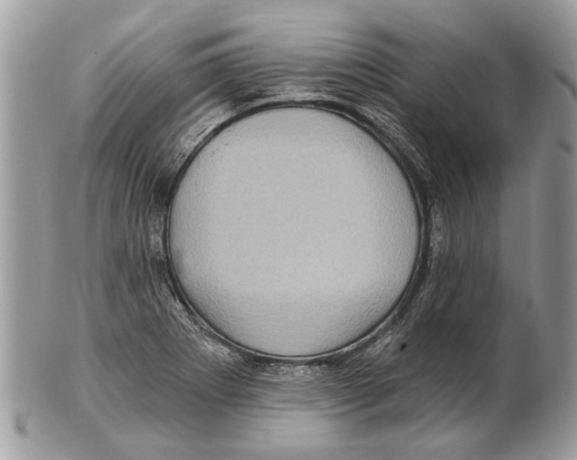 X0000101161273200807251102