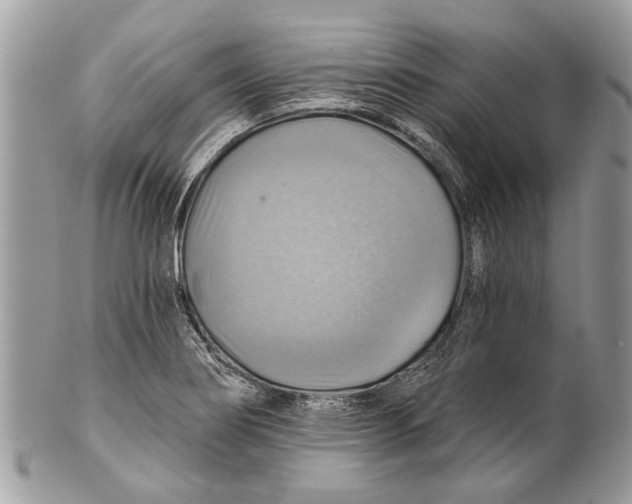 X0000101161274200807251102
