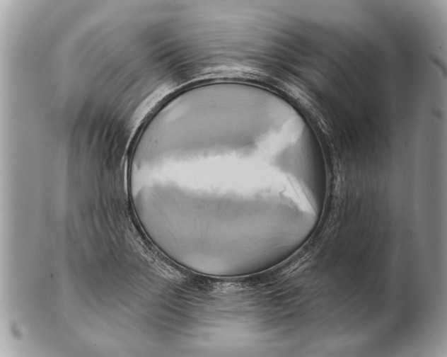 X0000101161275200807251102