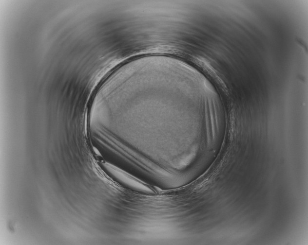 X0000101161276200807251102