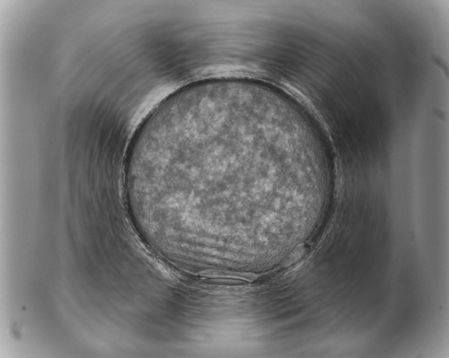 X0000101161277200807251102