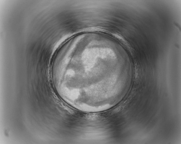 X0000101161278200807251102