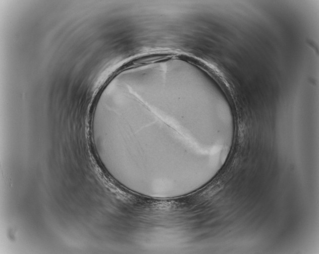 X0000101161279200807251102