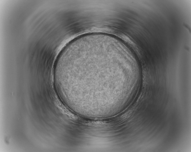 X0000101161280200807251102