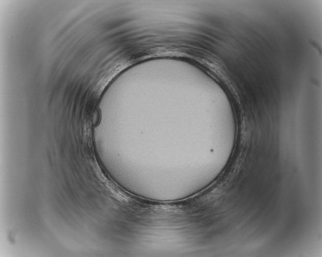 X0000101161281200807251102
