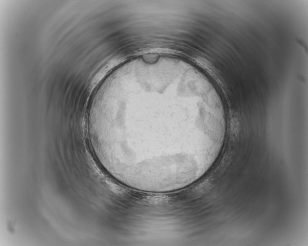 X0000101161282200807251102