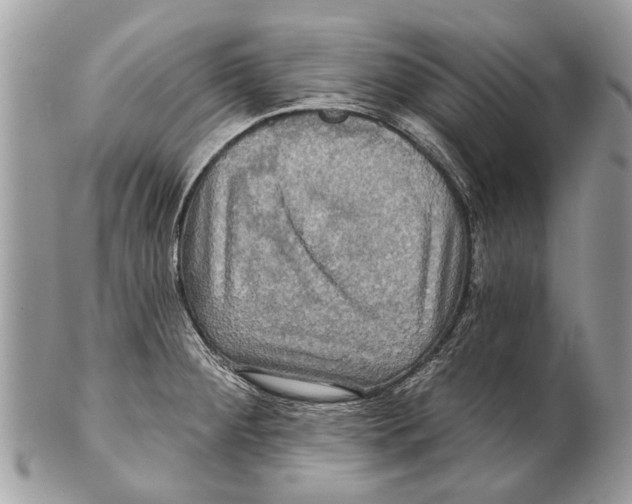 X0000101161284200807251102