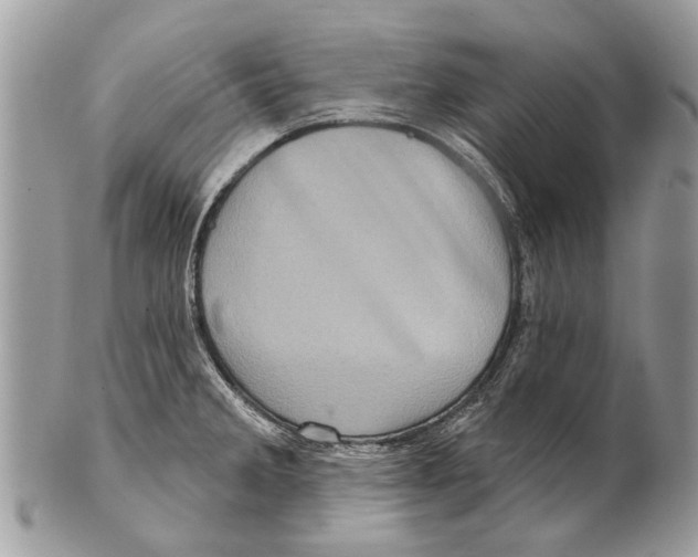 X0000101161285200807251102