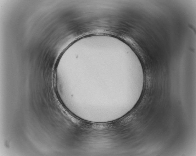 X0000101161286200807251102