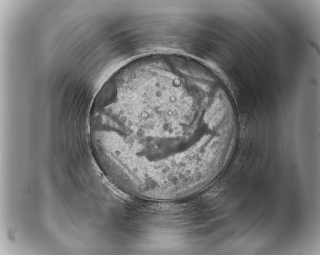 X0000101161287200807251102