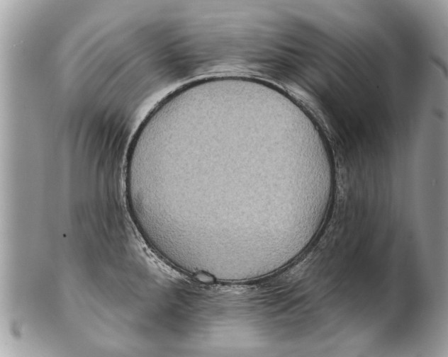X0000101161288200807251102