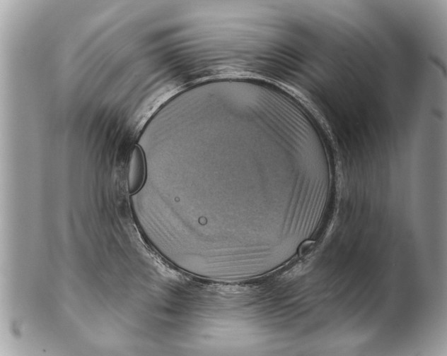 X0000101161289200807251102