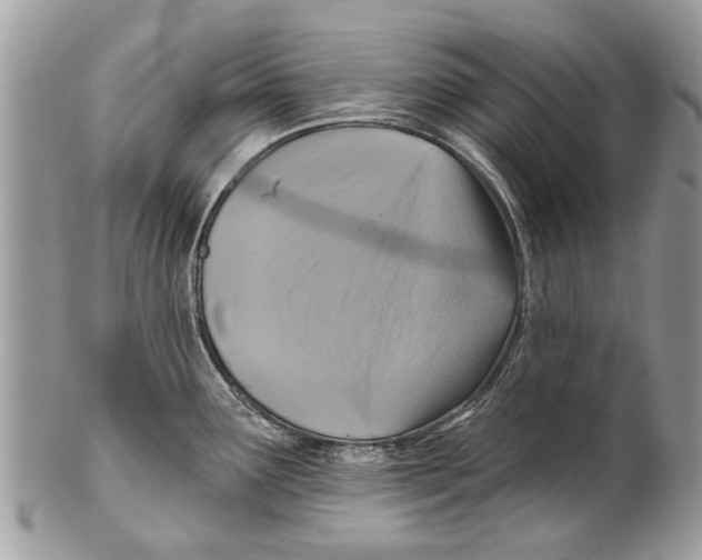 X0000101161291200807251102