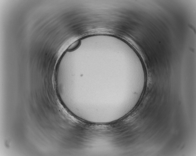 X0000101161293200807251102