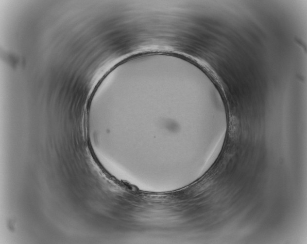 X0000101161295200807251102