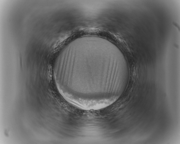 X0000101161301200807251101