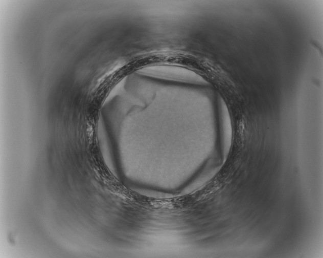 X0000101161302200807251101