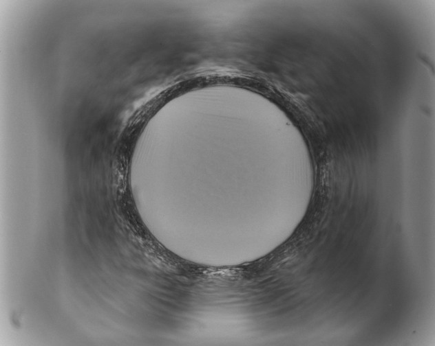 X0000101161303200807251101