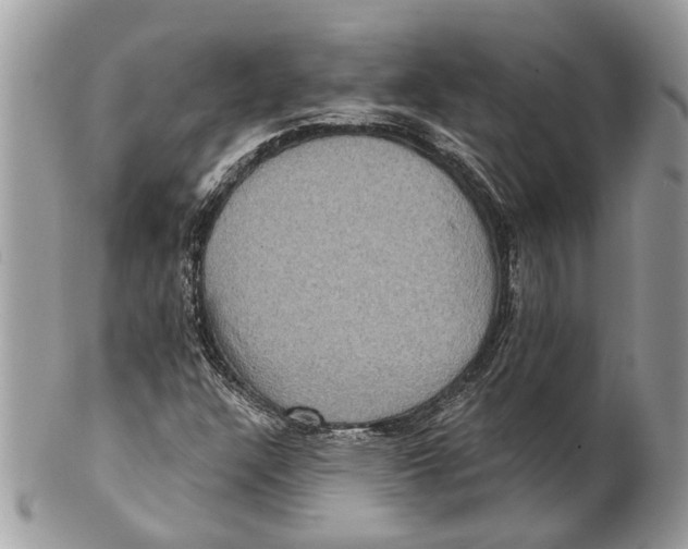 X0000101161304200807251101