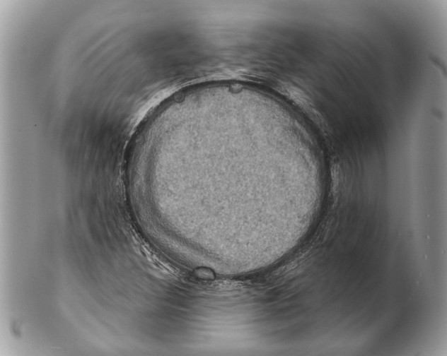 X0000101161308200807251101