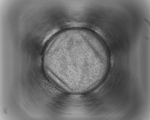 X0000101161309200807251101