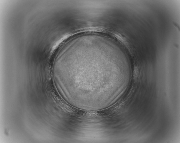 X0000101161310200807251101