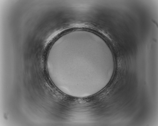 X0000101161311200807251101