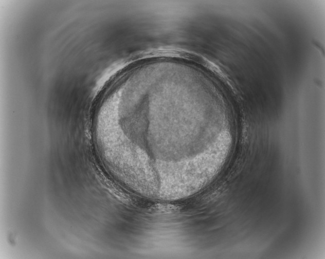 X0000101161312200807251101