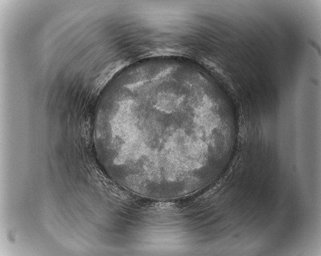 X0000101161313200807251101