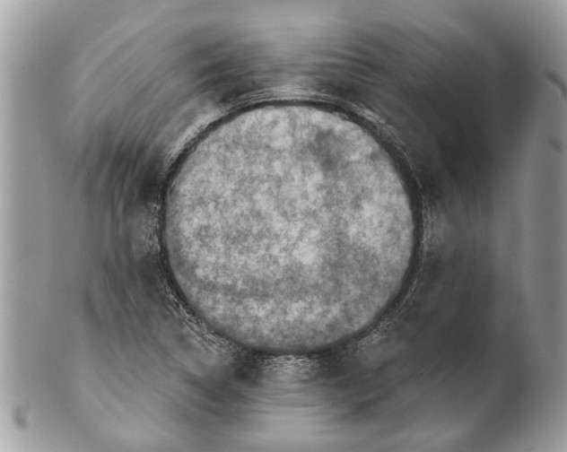 X0000101161314200807251101