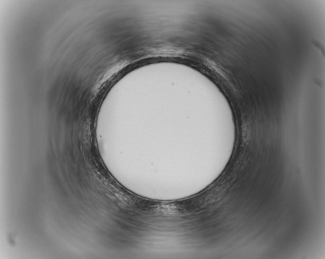 X0000101161315200807251101