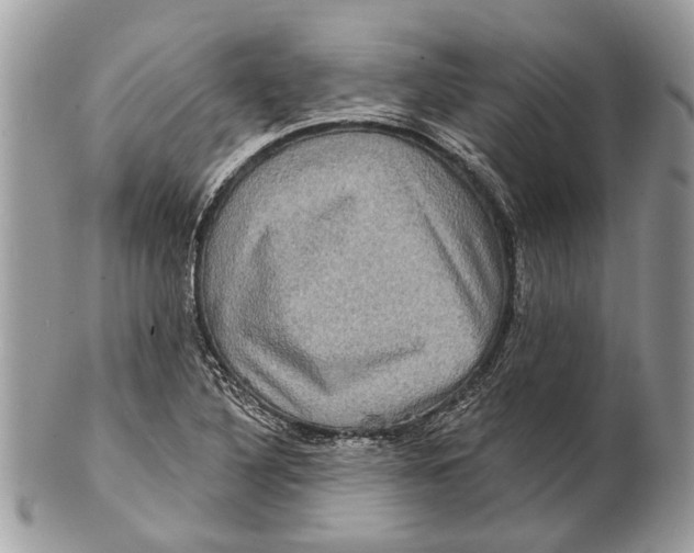 X0000101161316200807251101