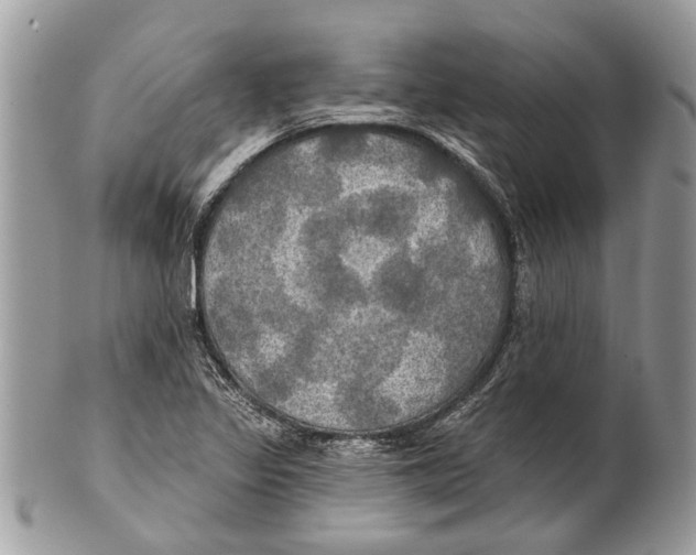 X0000101161317200807251101