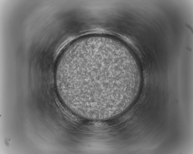 X0000101161318200807251102