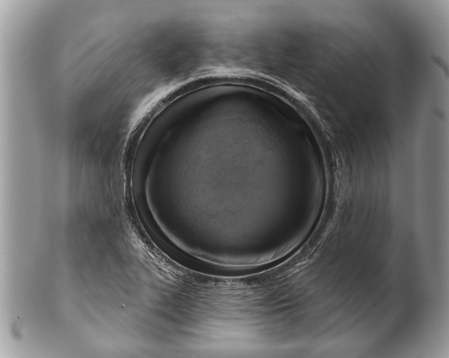 X0000101161319200807251102