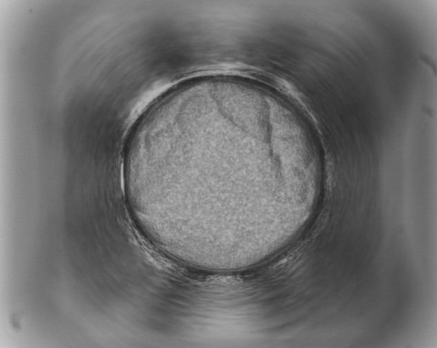 X0000101161320200807251102
