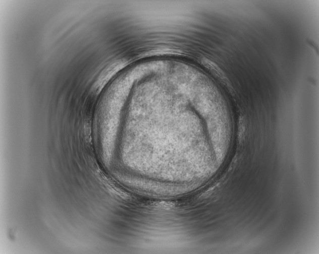 X0000101161321200807251102