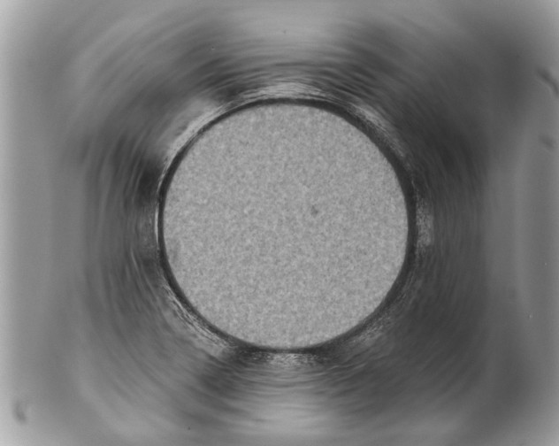 X0000101161322200807251102