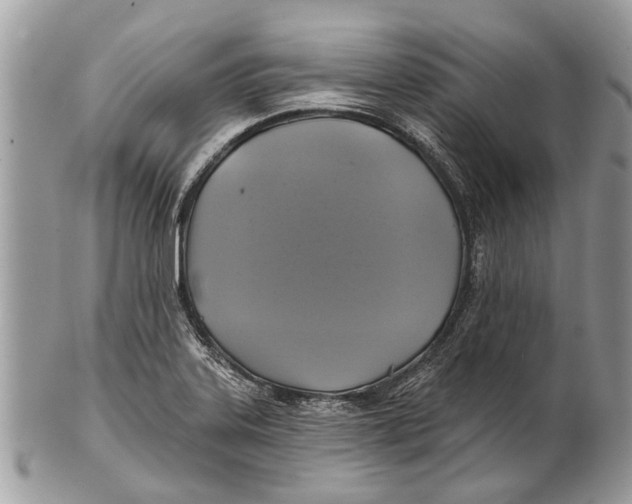 X0000101161323200807251102