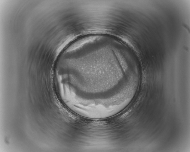 X0000101161325200807251102