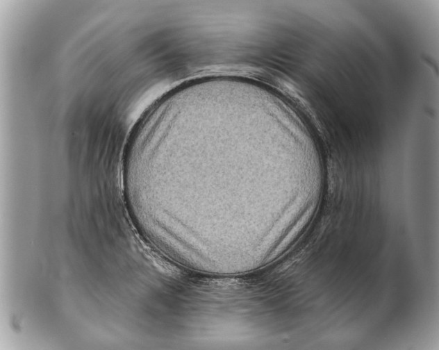 X0000101161328200807251102
