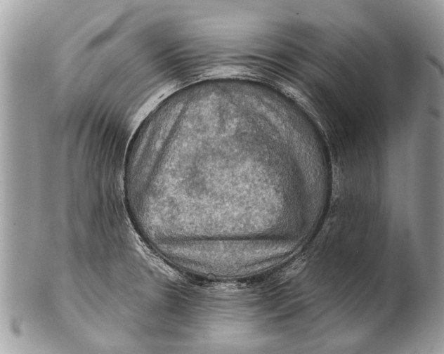 X0000101161330200807251102