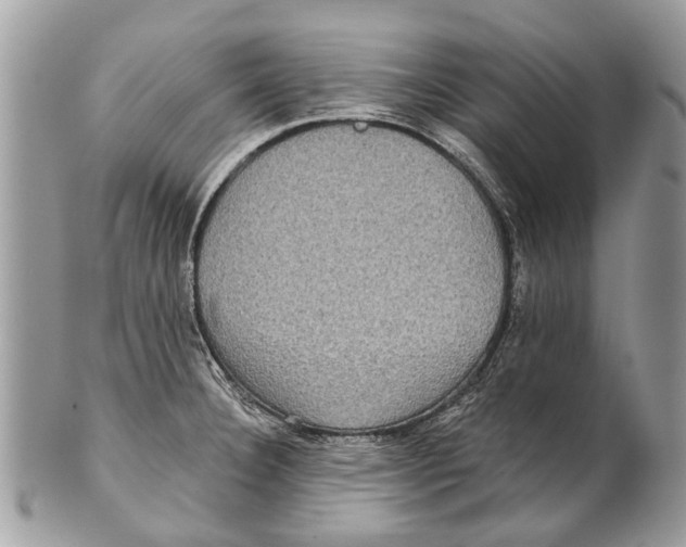 X0000101161332200807251102