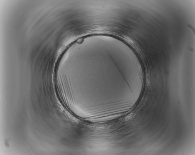 X0000101161334200807251102